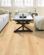 Natural Classics Hard Maple 3" Hardwood