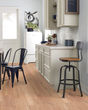 Natural Classics Red Oak 5" Hardwood