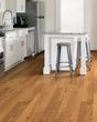 Lineage Red Oak 3" Honey Hardwood