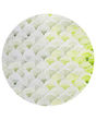 Seabreeze SZ5 Lime-In Area Rug