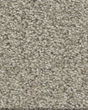 Tonal Comfort I Textured 43oz Nylon Carpet