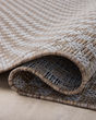Topanga TOP-02 Natural/Silver Area Rug