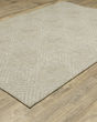 Tortuga tr05a Beige/Beige Area Rug