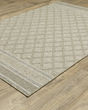 Tortuga tr10a Beige/Black Area Rug