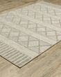 Tortuga tr11a Beige/Beige Area Rug