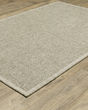 Tortuga tr12a Beige/Beige Area Rug