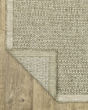 Tortuga tr12a Beige/Beige Area Rug