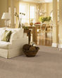 Tower View Kashmere Nylon Carpet