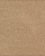 Tranquil Bliss Kashmere Nylon Carpet