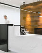 Tranquility Quartz Countertop