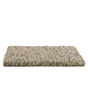 Trendy Charm Ancestral Carpet