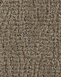 Trendy Charm Ancestral Carpet