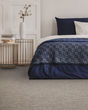 Trendy Charm EverStrand Carpet