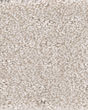 Trendy Nylon 34oz Carpet