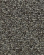 True Amazement EverStrand Carpet