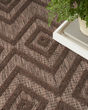 Versatile NRV01 Brown Area Rug