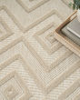 Versatile NRV01 Cream Area Rug