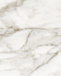 Vienna Calacatta Paonazzo Porcelain Tile