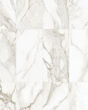 Vienna Calacatta Paonazzo Porcelain Tile