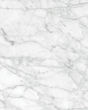 Vienna Carrara Gioia Marble Porcelain Tile