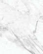 Vienna Statuarietto Marble Porcelain Tile