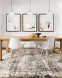 Viera VR-03 Ash Area Rug