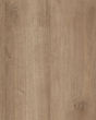 COREtec Pro Plus 7"x48" Copano Oak Luxury Vinyl