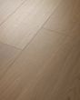 COREtec Pro Plus XL Enhanced San Marino Elm Luxury Vinyl
