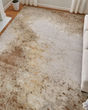 Waldor 39NCF Brown/Tan/Ivory Rug