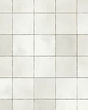 Wander Bianco Porcelain Tile