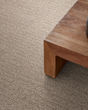 Wanderer Patterned Nylon Carpet