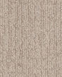 Wanderer Patterned Nylon Carpet