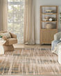 Washable Decor WSD07 Beige Blue Area Rug