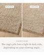 Winston WIT-01 Spice/Bone Area Rug