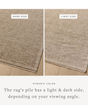 Winston WIT-01 Taupe/Bone Area Rug