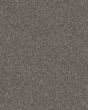 Confidence II Marble Textured Carpet