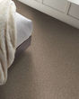 Confidence II Textured Pet Friendly 58oz Carpet