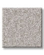 Positively Radiant I Textured 43oz Carpet