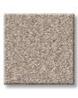 You Got This I Subtle Clay Carpet