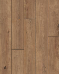 Harmony Shitake Restoration 7