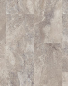 Apex Fossil 12