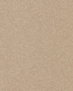 Quality Life Textured SmartStrand 55oz Carpet