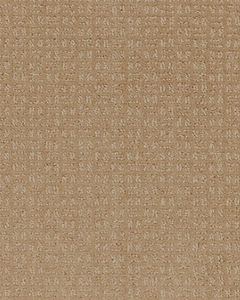 Quality Space SmartStrand 40oz Carpet