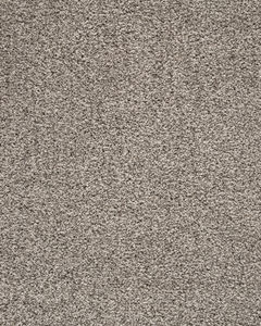 Luxuriant Space Textured SmartStrand 40oz Carpet