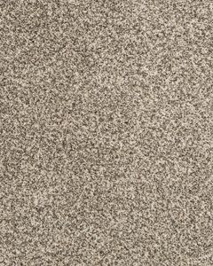 Canine Chic Pet Friendly EverStrand Carpet