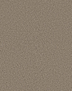 Artistic Fusion I Pet Friendly 43oz Carpet