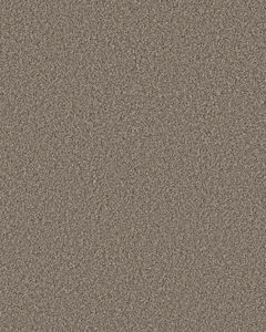 Artistic Fusion II Pet Friendly Carpet