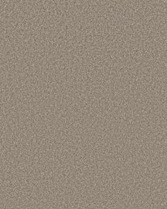 Monumental II 53oz Pet Friendly Textured Carpet