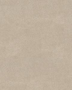 Thoughtful Beauty II 68oz Pet Perfect Textured Carpet