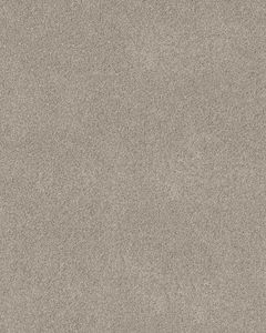 Pawsitive T Marble Pet Friendly Textured 40oz Carpet